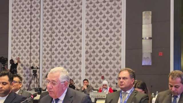 وزير الزراعة: 80% من المساعدات الغذائية لقطاع غزة قدمتها مصر