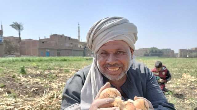 «الجمارك»: لا قيود على تصدير البصل بأنواعه (مستند)