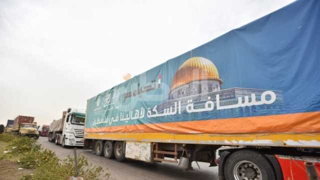 أساتذة علوم سياسية يشيدون بجهود الدولة المصرية في دعم القضية الفلسطينية