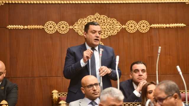 نائب بـ«التنسيقية»: مبادرة «أبدا» أعادت تشغيل مئات المصانع المتعثرة
