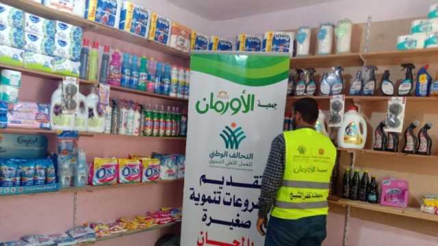 تسليم 2685 مشروع تمكين اقتصادي للأسر الأولى بالرعاية في كفر الشيخ