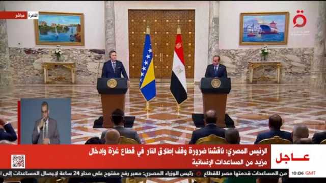 رئيس البوسنة والهرسك: إنشاء خطوط طيران مباشر مع مصر قريبًا