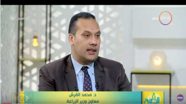 «الزراعة»: 7 ملايين طن إجمالي صادرات مصر الزراعية الموسم الحالي