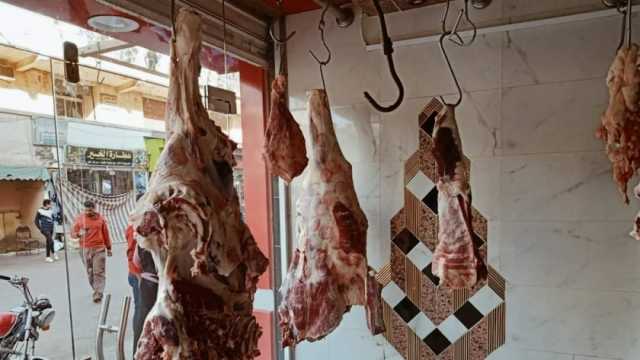 ضبط لحوم غير صالحة للاستهلاك الآدمي في كفر الشيخ