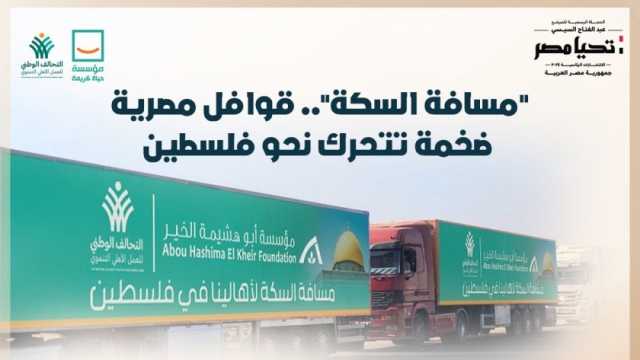 «كتفنا في كتف أهالينا».. قوافل مصرية ضخمة تتحرك نحو فلسطين