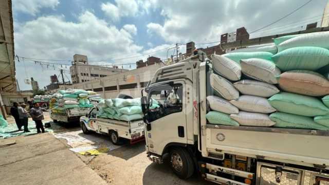 حصاد 394 ألف فدان قمح وتوريد 582 ألفا و217 طنا بالشرقية
