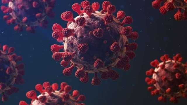 تفاصيل استنساخ فيروس شبيه لـ كورونا في الصين.. يُصيب الجهاز التنفسي والدماغ