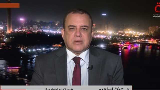 عزت إبراهيم: زيارة أردوغان محطة تاريخية في العلاقات بين مصر وتركيا