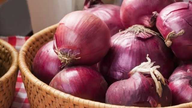 أسعار البصل اليوم السبت 12-10-2024 في الأسواق.. مستقرة