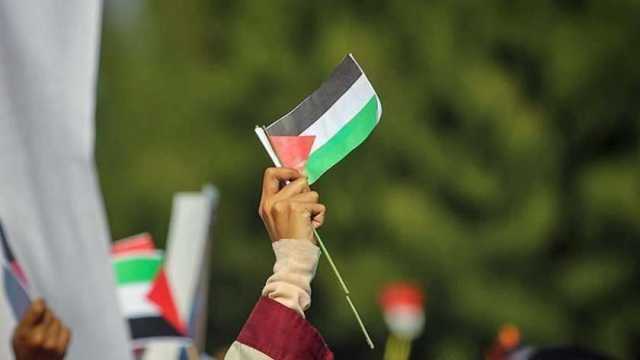 إسرائيل تقر مشروع قانون يحظر رفع علم فلسطين على مؤسسات تمولها تل أبيب