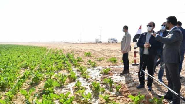«الزراعة»: مشروعات عملاقة لزيادة الرقعة عبر استصلاح أكثر من 3.5 مليون فدان