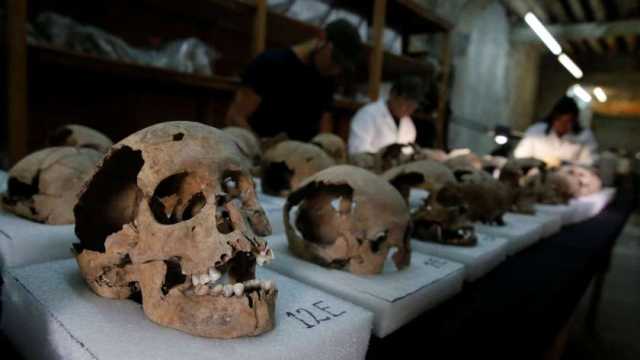 قصة جماجم المناضلين الجزائريين في فرنسا تعود للواجهة بعد مطالبات بإعادتها