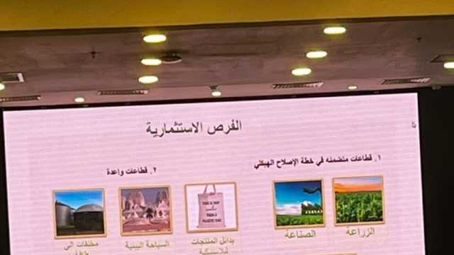 «البيئة»: توجد مصادر متنوعة لتمويل المناخ
