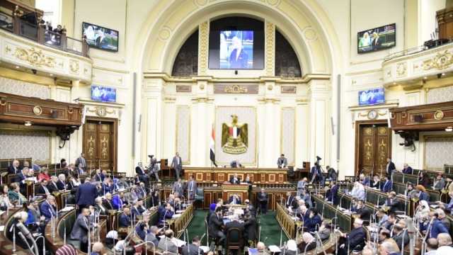 «النواب» يناقش تعديل رفع رسوم جوازات السفر و4 اتفاقيات دولية