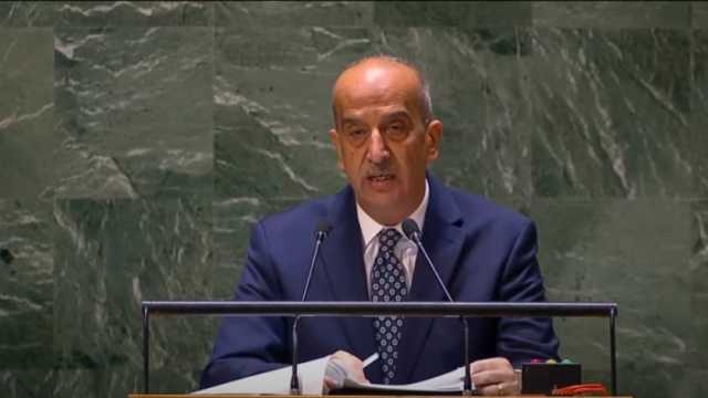 مندوب مصر بالأمم المتحدة: الوضع في غزة وصل إلى حد المجاعة