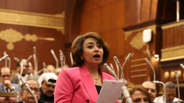 أمين سر «حقوق إنسان الشيوخ»: مصر رمانة ميزان الشرق الأوسط