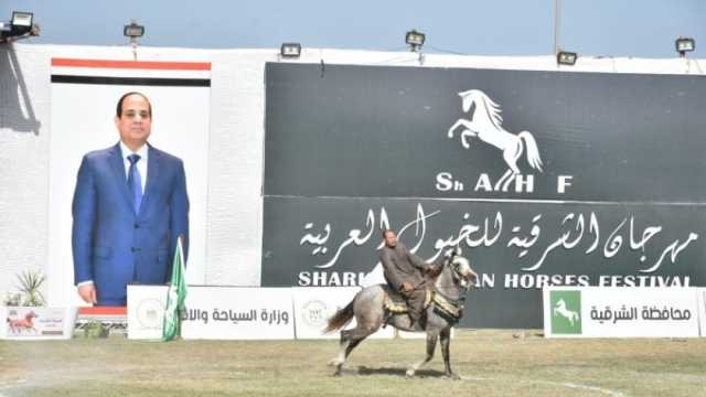 الشرقية تستعد لمهرجان الخيول العربية بقوافل بيطرية وشركتي نظافة وأمن