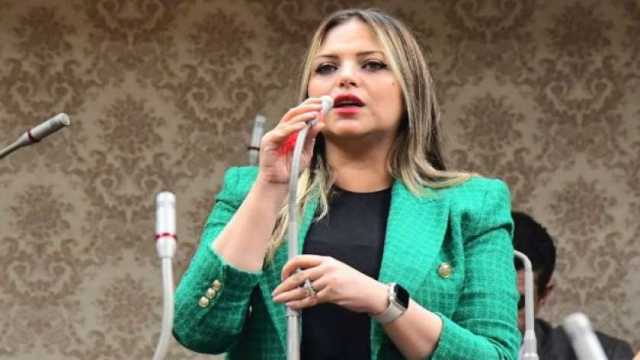 عضو بـ«النواب»: قصف خيام النازحين في رفح الفلسطينية «جريمة مكتملة الأركان»