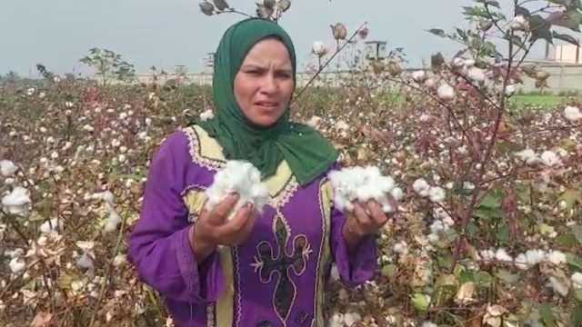 الأمم المتحدة: النساء الريفيات في العالم أسوأ حالا من الحضريات