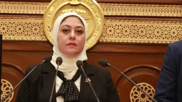 نائبة بـ«التنسيقية»: استخدام التكنولوجيا في الزرا ضرورة لمواجهة تغيرات المناخ