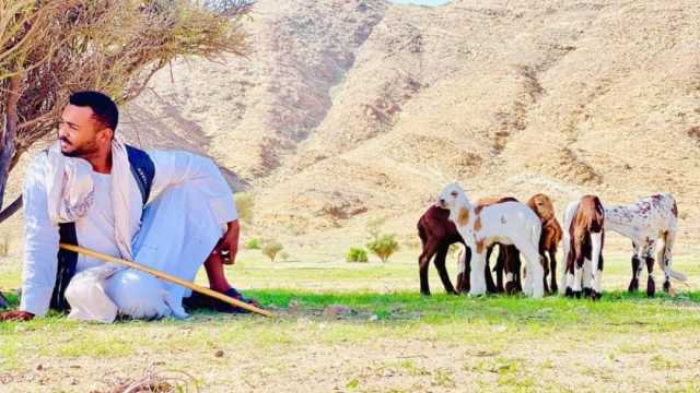 حكايات وأسرار الراعي المصري في البحر الأحمر.. قبلية الجنوب الأساس