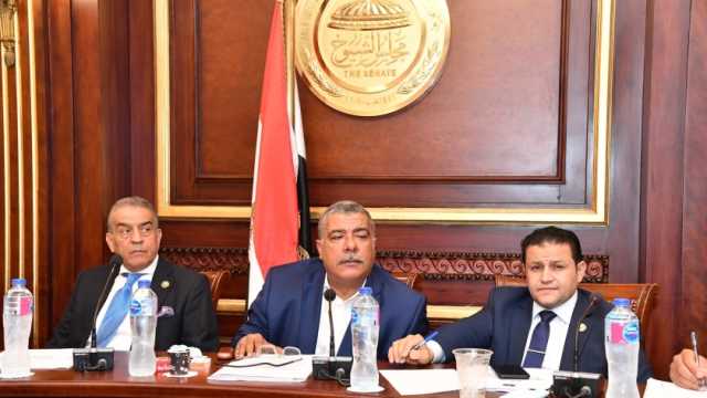 برلمانيون يهنئون الرئيس السيسي بالفوز في الانتخابات الرئاسية