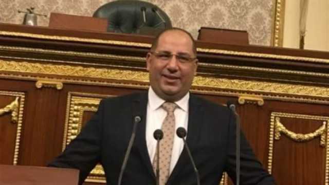 عضو بـ«النواب»: توجيهات السيسي بإرسال مساعدات إلى غزة تؤكد دور مصر التاريخي