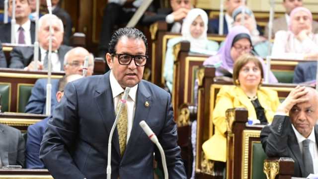 نائب رئيس البرلمان العربي: مصر تبذل جهودا كبيرة لنصرة الشعب الفلسطيني