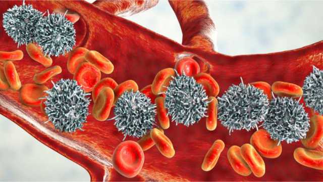 3 أطعمة تقلل من فرص إصابتك بسرطان الدم.. غنية بمضادات الأكسدة