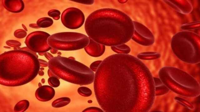 4 علامات تنذر بإصابتك بفقر الدم.. اذهب للطبيب في هذه الحالة
