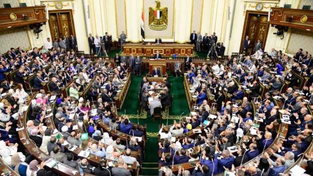 الحكومة تعلن تشكيل لجنة لفض تشابكات ملف المشروعات المتوسطة والصغيرة