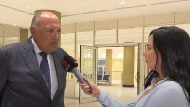 شكري يكشف عن تفاصيل البيان الختامي لقمة وزراء خارجية دول جوار السودان