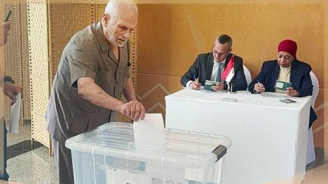 الأحزاب والمؤسسات الحقوقية: المصريون فى الخارج يرسمون مشهدا حضاريا.. والمرأة مشاركة وحاضرة بقوة