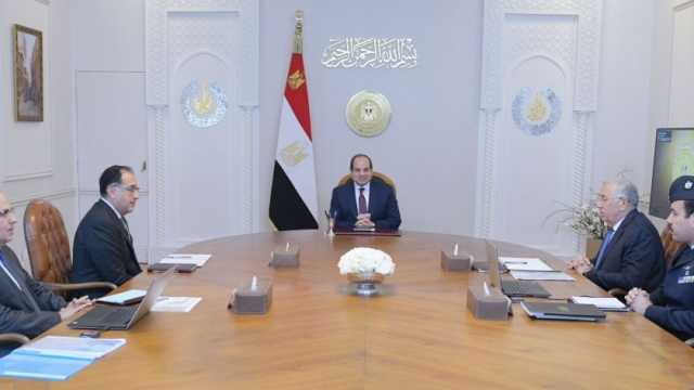 الرئيس السيسي يوجه بدراسة وإعداد الآليات المناسبة لخفض المخاطر المتعلقة بالاستثمار