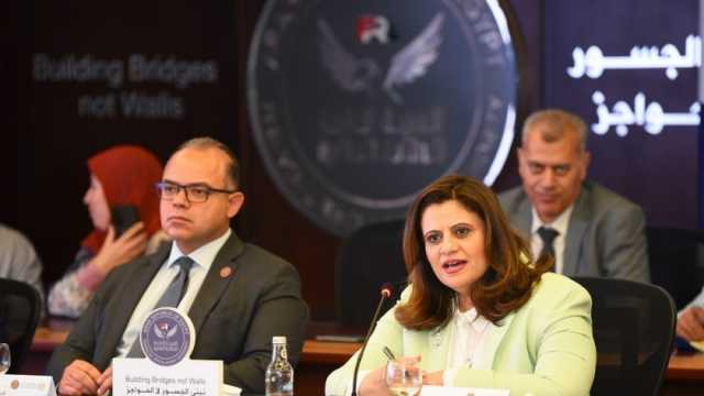 «الهجرة» و«المالية» تطلقان أول وثيقة معاش بالدولار للمصريين في الخارج