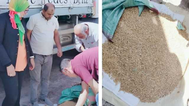 ضبط 20 طن قمح قبل تهريبها وبيعها في السوق السوداء بمطروح