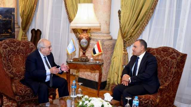 وزير الخارجية : مصر تحرص على الانخراط بفعالية في جهود التسوية بالسودان