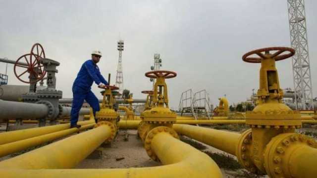 البترول: 880 مليون دولار استثمارات مشروع إنتاج الأمونيا الخضراء