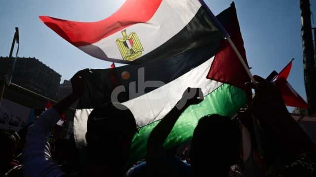 «صوت السلام بالمنطقة».. خبراء يشيدون بدور مصر في الدفاع عن القضية الفلسطينية