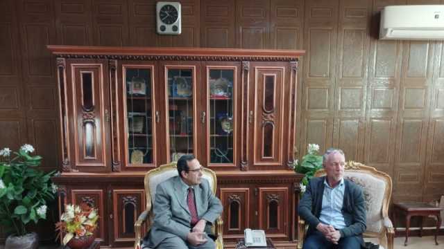 مسؤول أممي: نثمن دور مصر في إدخال المساعدات إلى قطاع غزة