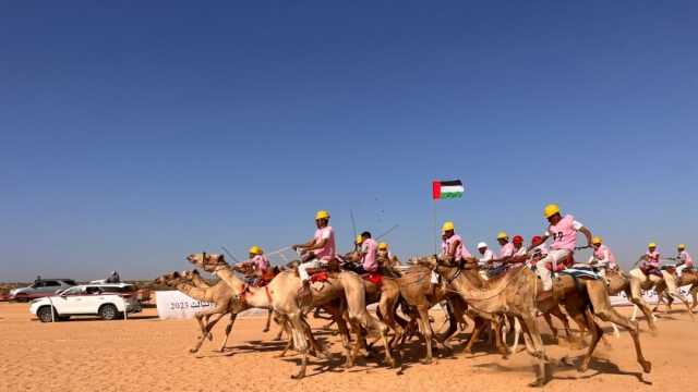 شمال سيناء تستعد لاحتفالات نصر أكتوبر بعروض غنية وسباق الهجن