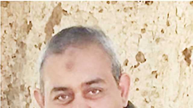 أستاذ بـ«وقاية النبات» يكشف كيفية حماية «البامبو» من «الخنافس»