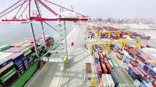 تصدير 27 ألف طن فوسفات من ميناء سفاجا إلى الهند وتداول 42 ألف طن بضائع