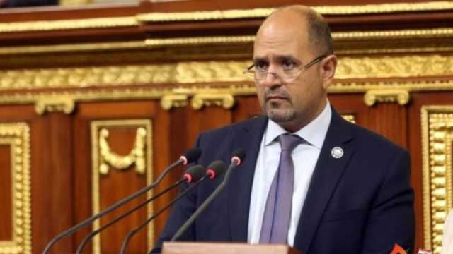  برلماني: كلمة الرئيس بالقمة العربية أكدت مواقف مصر الثابتة تجاه فلسطين