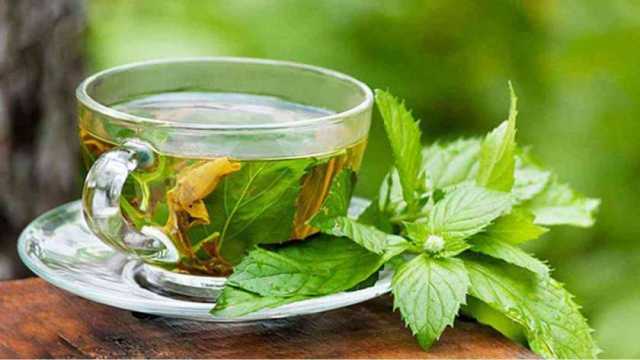 10 فوائد لشرب الشاي الأخضر في الشتاء.. يحمي من نزلات البرد