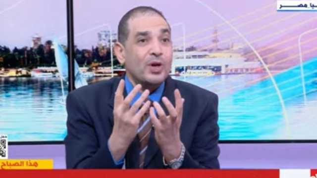 خبير دولي: تحركات مصر الدبلوماسية لوقف العدوان الإسرائيلي على غزة «مستمرة»