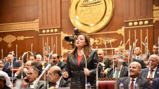 نائبة بـ«الشيوخ» تطلب حذف «تعدد الزوجات» من مشروع قانون الضمان الاجتماعي