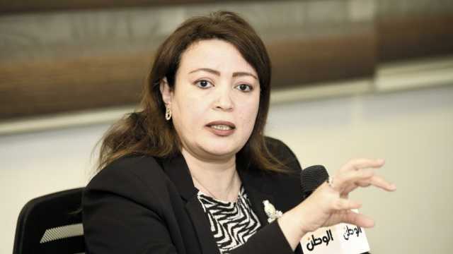 وكيل «خارجية الشيوخ»: 137 لجنة بالسفارات استعدت للانتخابات.. والمشاركة واجب وطني (حوار)