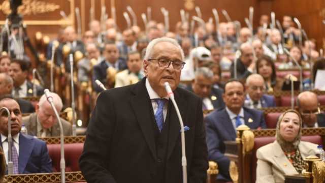وكيل «الشيوخ»: وصول المساحات المزروعة إلى 14.5% إنجاز تاريخي