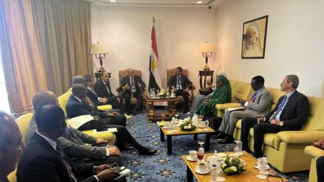 «الكهرباء»: مصر على استعداد دائم لمشاركة خبراتها مع دول أفريقيا